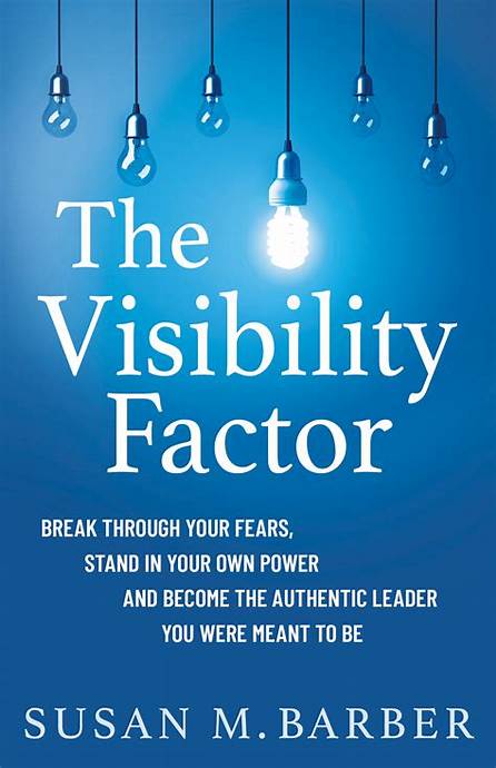 The Visibility Factor – Susan M. Barber