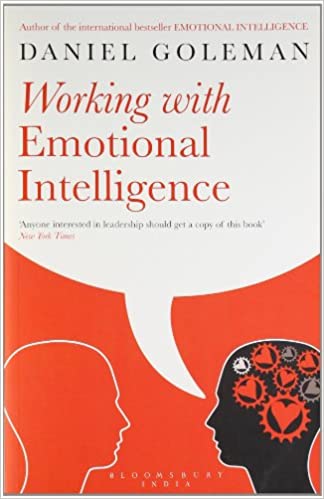 Working with Emotional Intelligence – Daniel Goleman