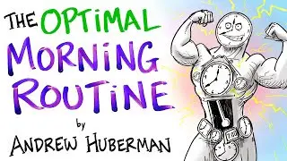 Andrew Huberman – The Optimal Morning Routine