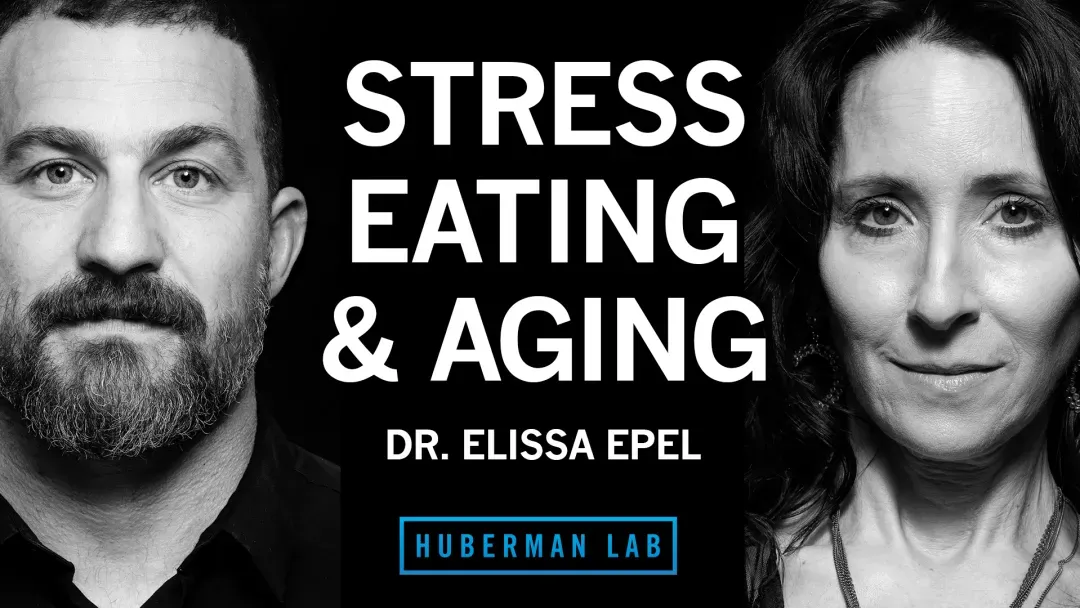 Andrew Huberman – Dr. Elissa Epel: Control Stress For Healthy Eating, Metabolism & Aging