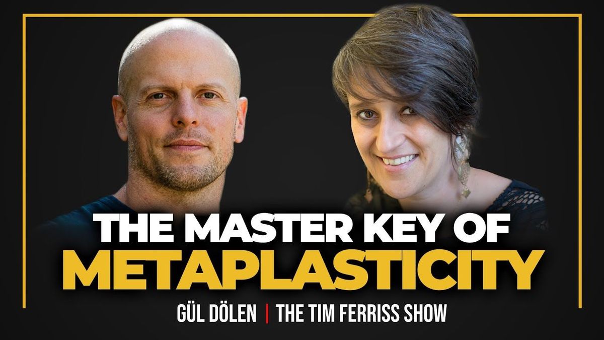 The Tim Ferriss Show: Dr. Gül Dölen on Rethinking Psychedelics