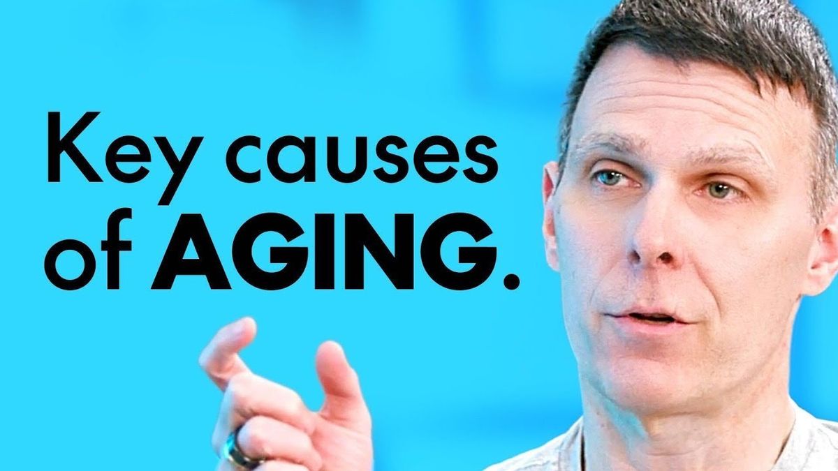 AGING IS A SCIENCE: What To Eat & When To Eat To SLOW THE AGING Process | Matt Kaeberlein