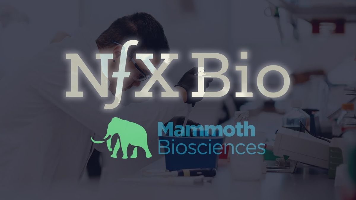 A Mammoth Becomes A Unicorn: Full NFX Bio Podcast Episode