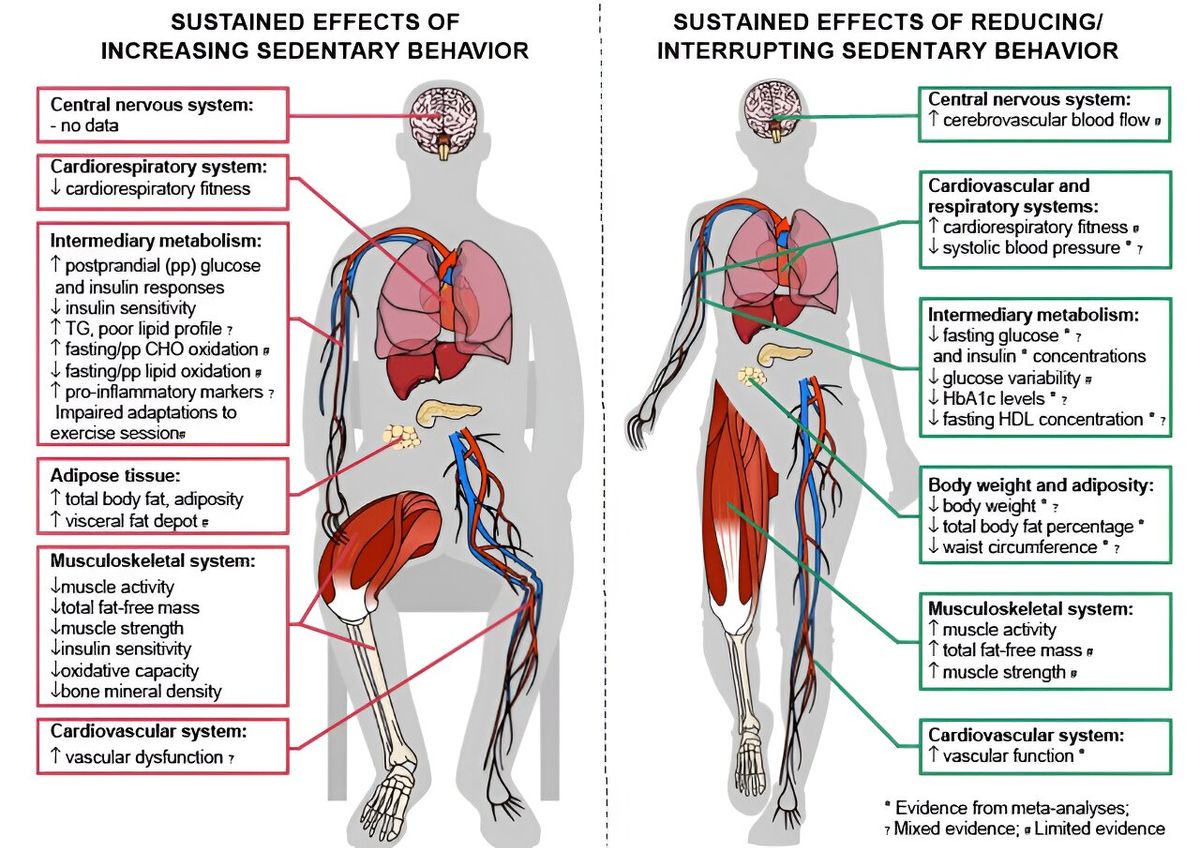 Study shows benefits of exercise dependent on hours spent sitting