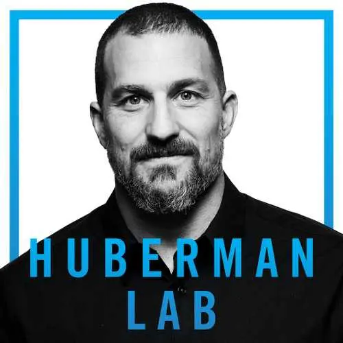 Andrew Huberman – Tools to Improve Your Focus & Concentration