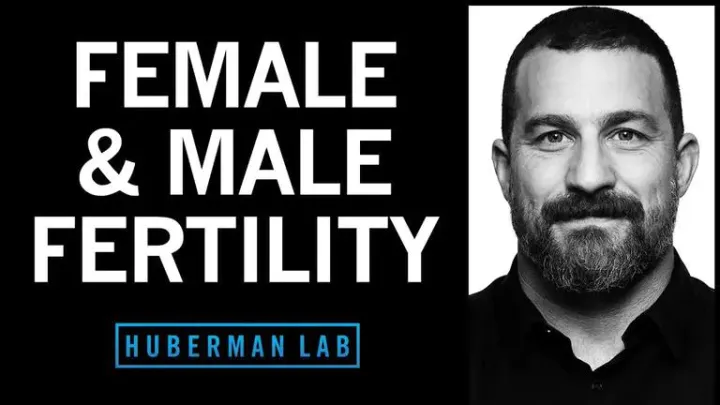 Andrew Huberman – How to Optimize Fertility in Males & Females