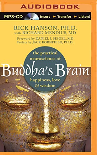 Buddha’s Brain: The Practical Neuroscience of Happiness, Love, and Wisdom  – Rick Hanson