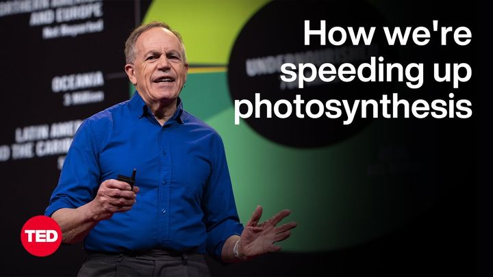 Can We Hack Photosynthesis to Feed the World?